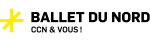 Logo Ballet du Nord (0)