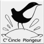 Logo Cie Cincle Plongeur (0)